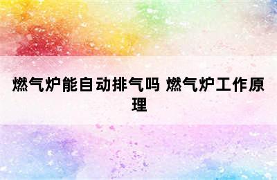 燃气炉能自动排气吗 燃气炉工作原理